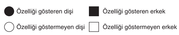 Soru Resim 2